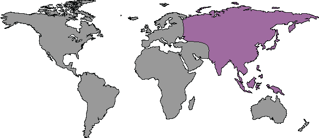 Coverage Map