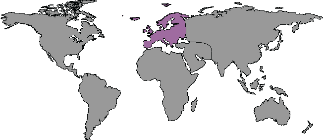 Coverage Map